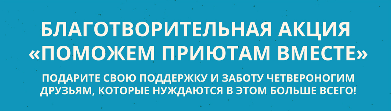 СМИ о ЦМТ: Интервью генерального менеджера Plaza Garden Moscow WTC Елены Борисовой газете МК