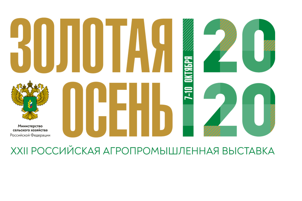 «Золотая осень – 2020» пройдет в ЦМТ в онлайн-формате