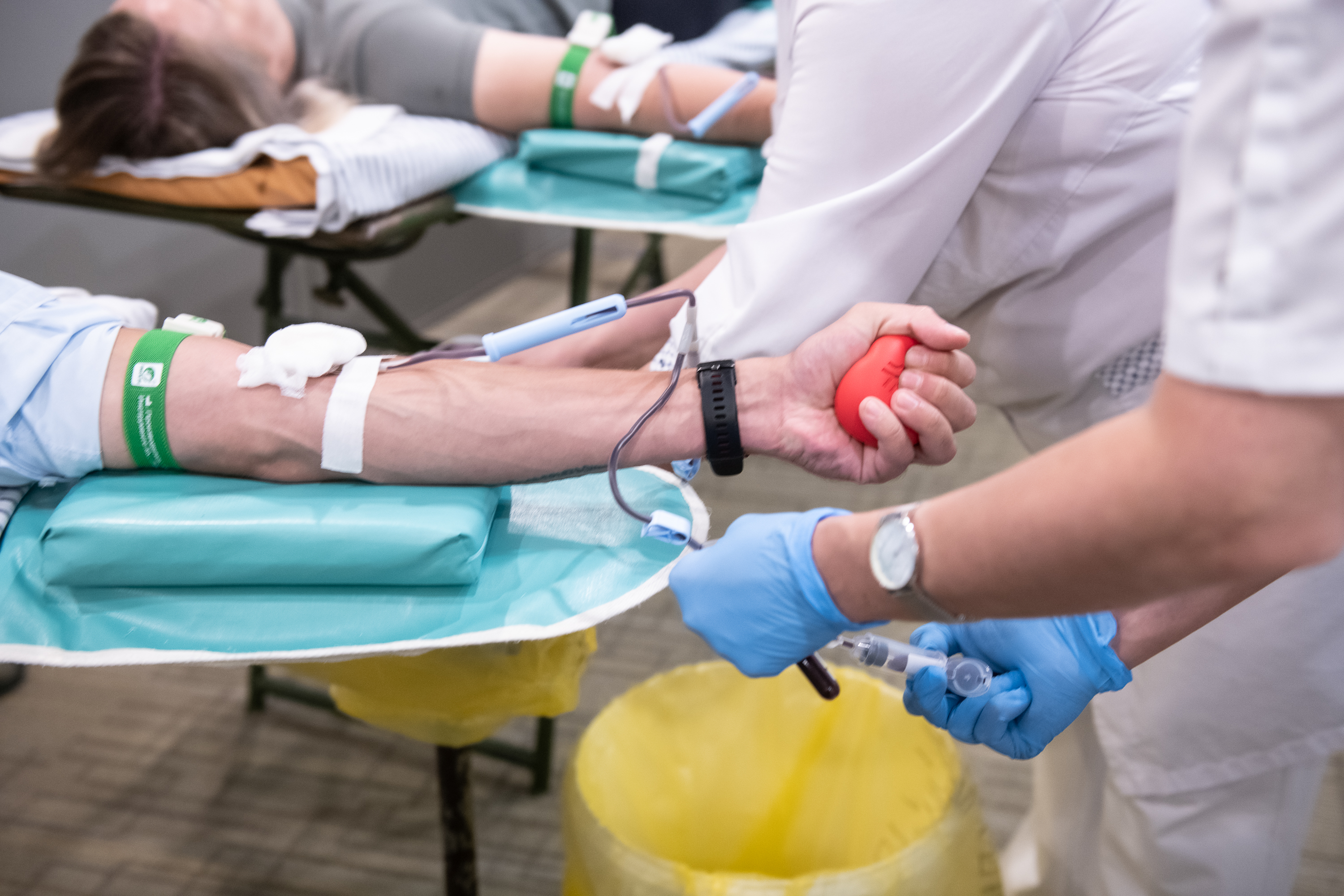 ЦМТ и РЭЦ провели благотворительную акцию День донора