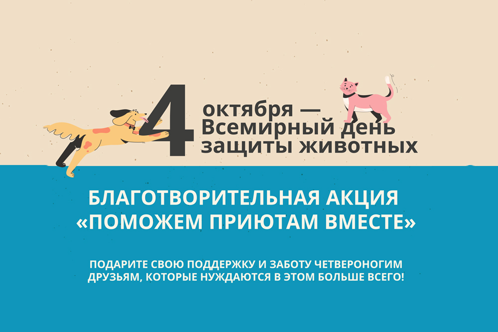 Благотворительная акция «Поможем приютам вместе»