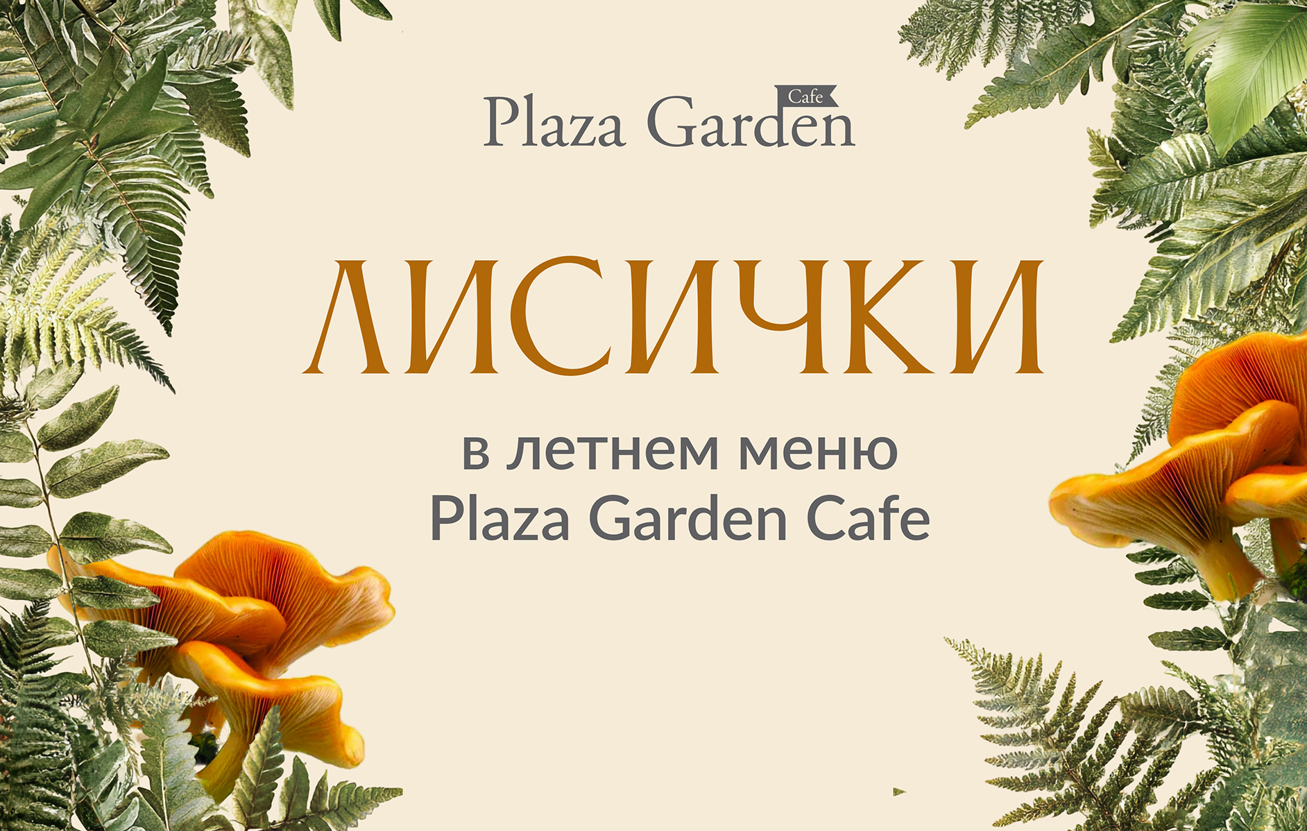 Лисички в Plaza Garden Café
